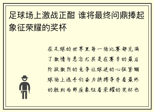 足球场上激战正酣 谁将最终问鼎捧起象征荣耀的奖杯